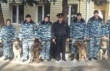 Тбилисский полицейский-кинолог отличился на краевых соревнованиях