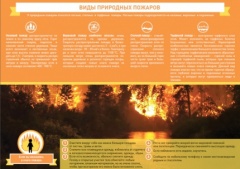 Отдел надзорной деятельности и профилактической работы Тбилисского района напоминает о правилах безопасности при попадании в зону лесного пожара!