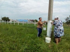 Большая уборка состоялась в Тбилисской и хуторе Северин 