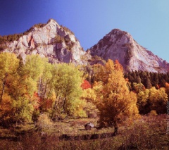 Тбилисцев приглашают на базу «Восток – 21 век»