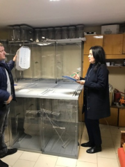 Инвентаризация имущества