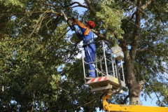 Свыше 130 энергообъектов отремонтировано Усть-Лабинскими электросетями с начала года