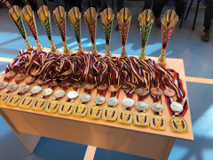 30 медалей завоевали тбилисцы в Первенстве по тхэквондо