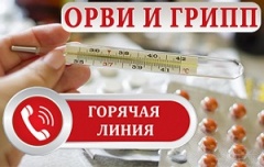 О «горячей линии» по профилактике ОРВИ и гриппа