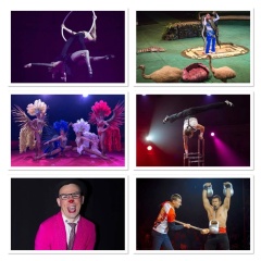 Санкт-Петербургский цирк-шапито с программой «Торнадо»