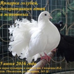 Уважаемые жители и гости Тбилисского района!