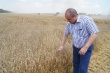 Глава Тбилисского района оценил ход уборки зерна