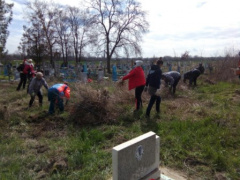 1000 тбилисцев приняли участие во Всекубанском субботнике