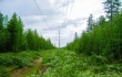 Энергетики расчистили 80 га трасс ЛЭП в центральных районах края