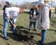 В Песчаном продолжает расти «Сад памяти»