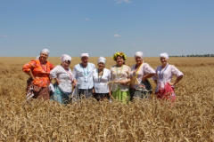 В Тбилисском районе артисты поддерживают хлеборобов на полях