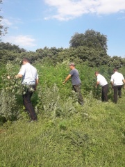 В Ловлинском сельском поселении проводит свою работу комиссия по мониторингу наркосодержащей растительности