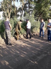 В рамках операции «Мак» в Тбилисском районе уничтожили заросли дикорастущей конопли