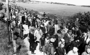 29 января 2026 года – 83-я годовщина освобождения Тбилисского района от немецко-фашисткой оккупации