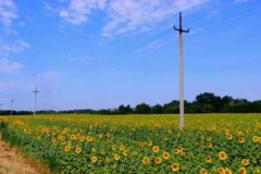 Усть-Лабинские энергетики отремонтировали более 120 трансформаторных подстанций в 2022 году