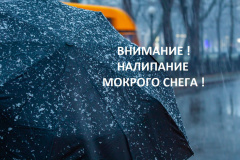 Вниманию жителей Тбилисского района!