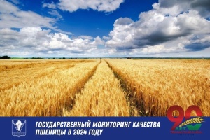 Мониторинг пшеницы в 2024 году