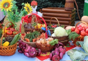 Горячая линия по вопросам организации сельскохозяйственной ярмарки