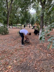 В Тбилисском районе прошла акция «Чистый сквер»