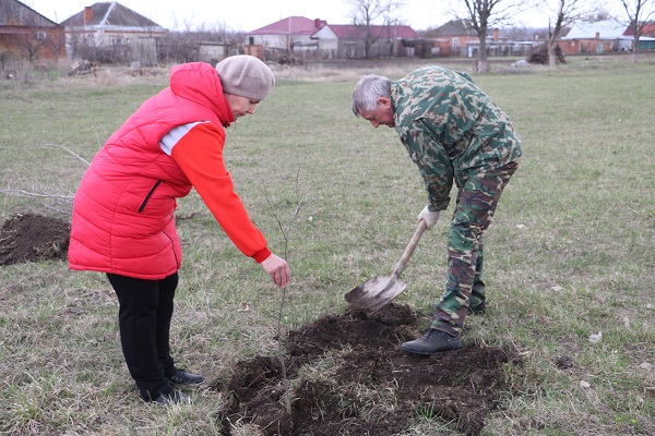 «Сад памяти» заложили в станице Ловлинской