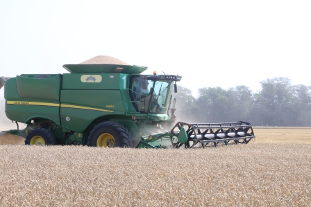 В Тбилисском районе завершается уборка пшеницы