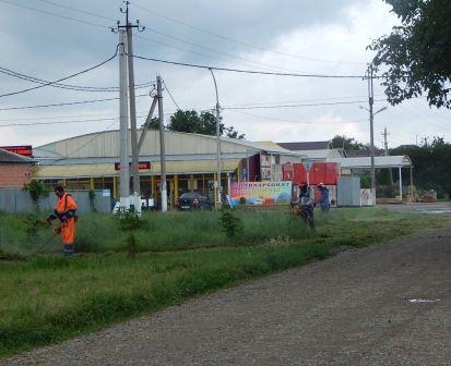 В хуторе Северин на улице Молодежной убрали ветки ивы