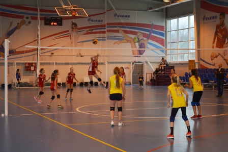 В Тбилисском районе прошло Открытое первенство по волейболу