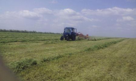 В Тбилисском районе продолжается заготовка сенажа 