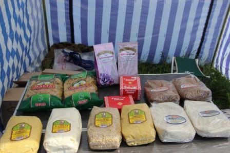 Второй день командно-штабных учений в Тбилисском районе