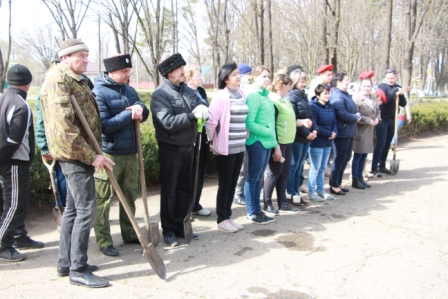 В станице Геймановской высадили «Сад памяти»