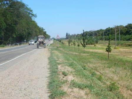 Наведение порядка на придорожных территориях