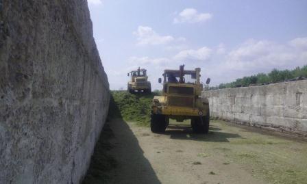 В Тбилисском районе продолжается заготовка сенажа 