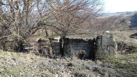 Проведена очередная архивно-поисковая экспедиция на линию обороны вдоль берега реки Кубань в годы великой Отечественной войны