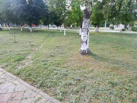 В Тбилисской по улице Красной высадили цветы