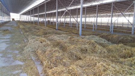 В Тбилисском районе увеличено производство молока