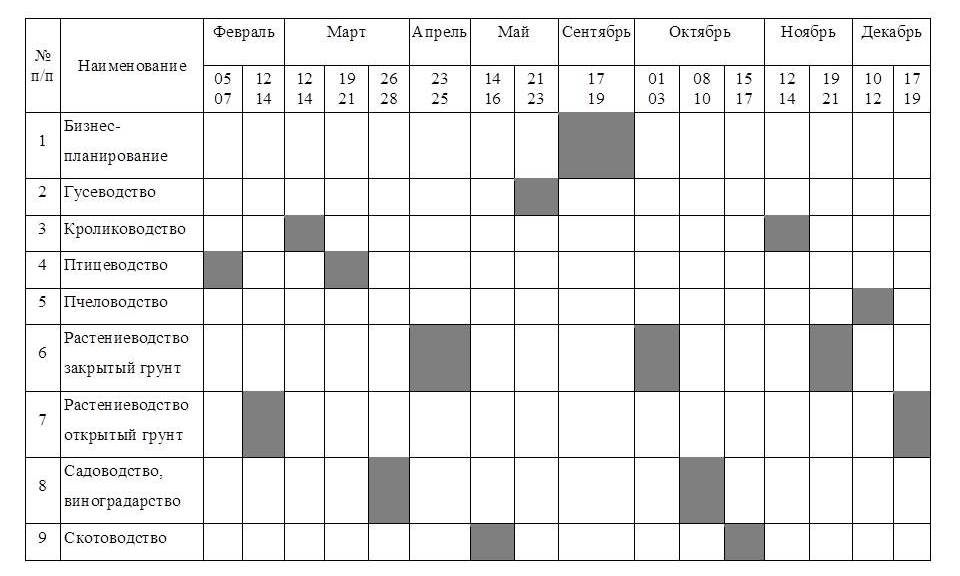 Программы повышения квалификации