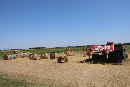 Пирамиды появились в Тбилисской