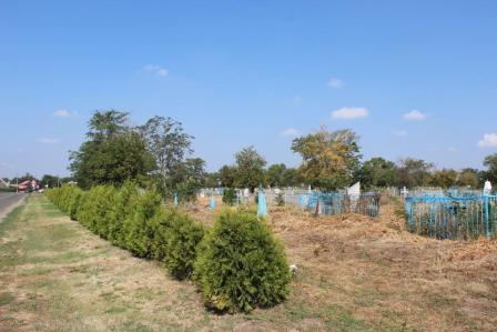 Работы по благоустройству 