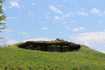 Тбилисцы посетили места боевых действий в годы Великой Отечественной войны