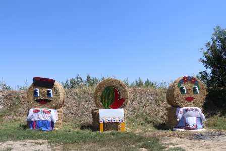 Необычные фигуры появились на поле в Тбилисском районе