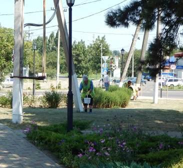 В Тбилисской навели порядок