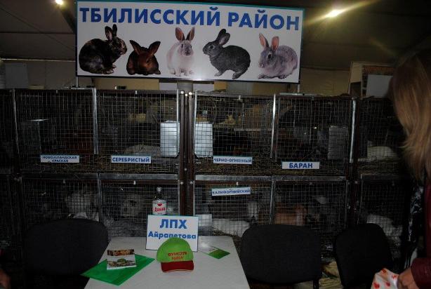 Кубанская ярмарка