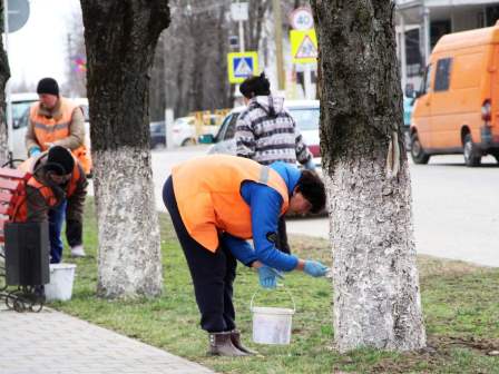 В Тбилисском районе продолжают наводить порядок