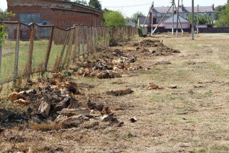 На стадионе в хуторе Северин провели субботник