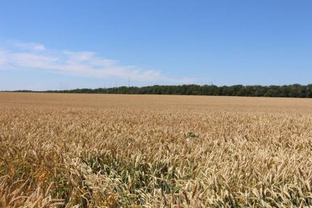 «Горячая пора» 