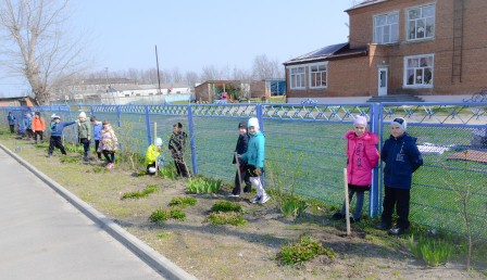 Первоклассник из Тбилисского района вырастил саженцы для акции «Лес Победы»