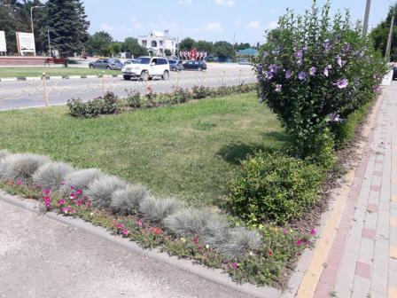 Продолжаются работы по наведению санитарного порядка