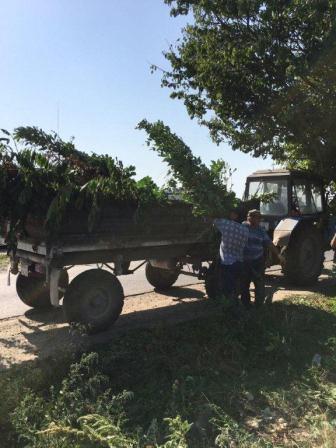 В Тбилисской провели субботник