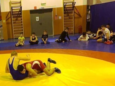 В «Олимпе» прошел турнир по вольной борьбе