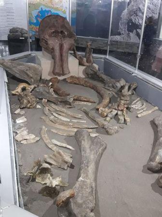 Тбилисцы побывали на экскурсии в Майкопе